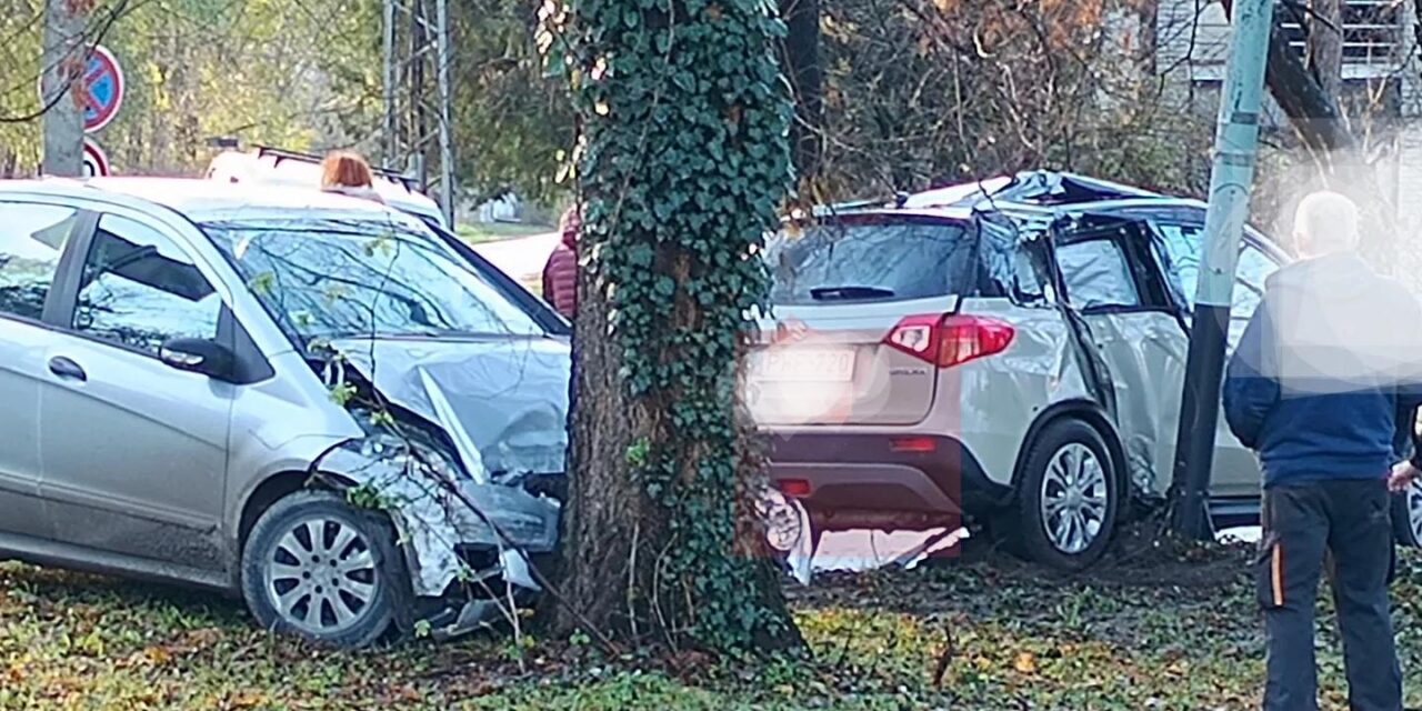 Baleset Palicson: Az egyik fának, a másik oszlopnak ütközött