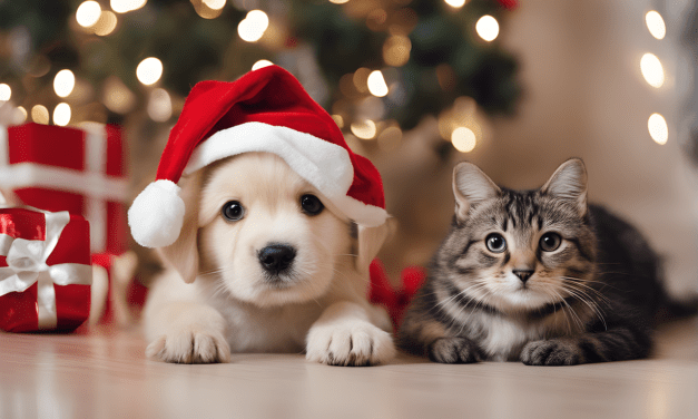 Nem javasolják élő állat ajándékba adását az állatvédők