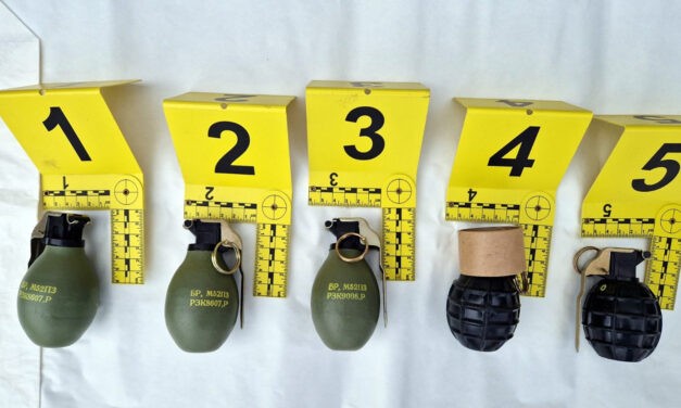 Robbanószerkezeteket, puskákat és pisztolyokat is találtak egy bánáti razzia során (Fotók)