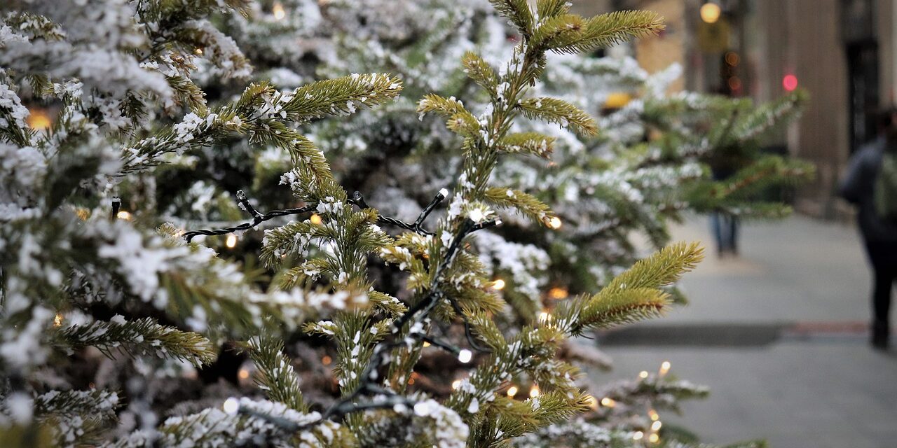 Karácsonyfa ölt meg egy nőt Belgiumban