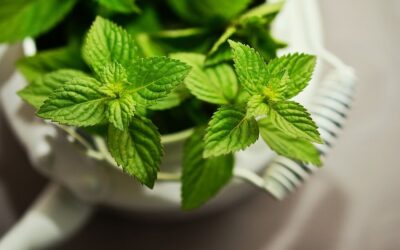 Veszélyes mentateát vontak ki a forgalomból