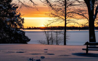 MI fán terem? ELSŐKÉNT EGY VAJDASÁGI LAPBAN: Ezt a cikket a Mesterséges Intelligencia írta önmagáról – Címképünket is az MI alkotta fotorealisztikus alkalmazással