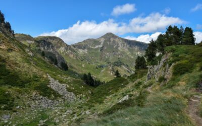 Hét éve Spanyolországban tűnt el, most találták meg Franciaországban