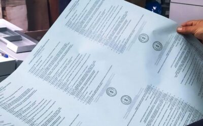 Hát én immár kit válasszak? Vajdasági magyar politikusoknak tettük fel ugyanazt a három kérdést