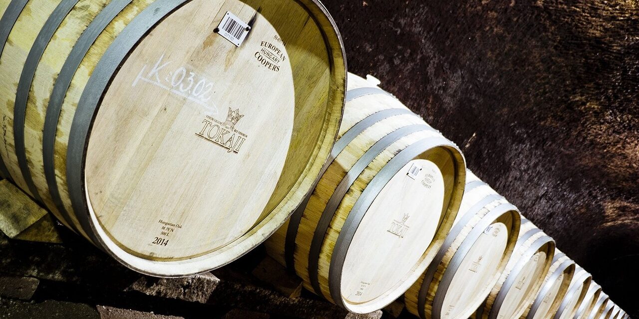 Ferenc pápa megáldotta a magyar bort