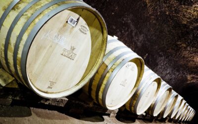 Ferenc pápa megáldotta a magyar bort