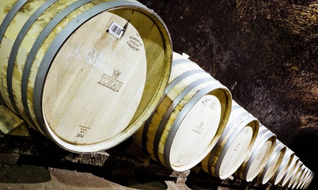 Ferenc pápa megáldotta a magyar bort