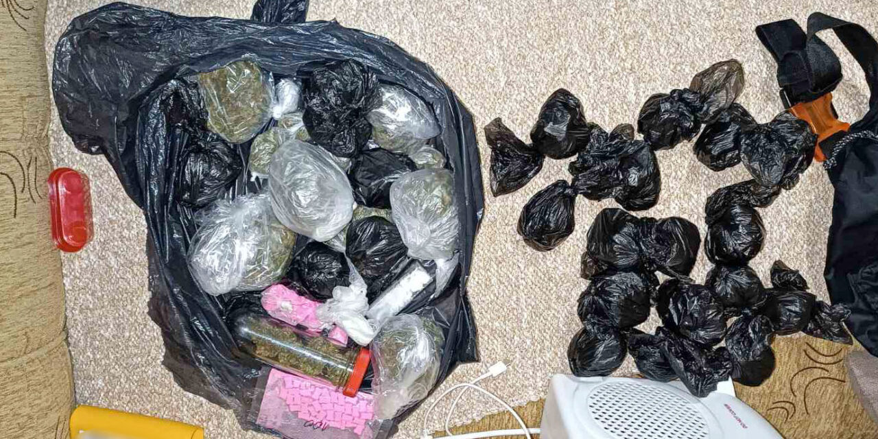 Őrizetbe vették a zombori drogdílert, vendégét pedig feljelentik (Fotók)