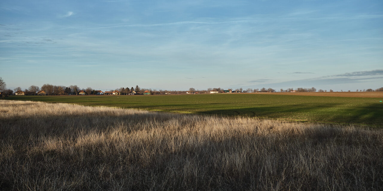 Az év utolsó napja vajdaságiasan