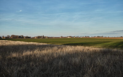 Az év utolsó napja vajdaságiasan