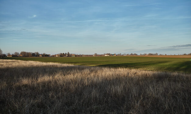 Az év utolsó napja vajdaságiasan