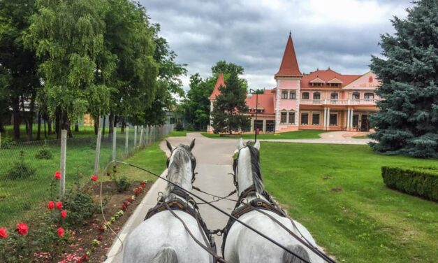 A híresztelésekkel ellentétben nem zár be a Kelebiai Ménes