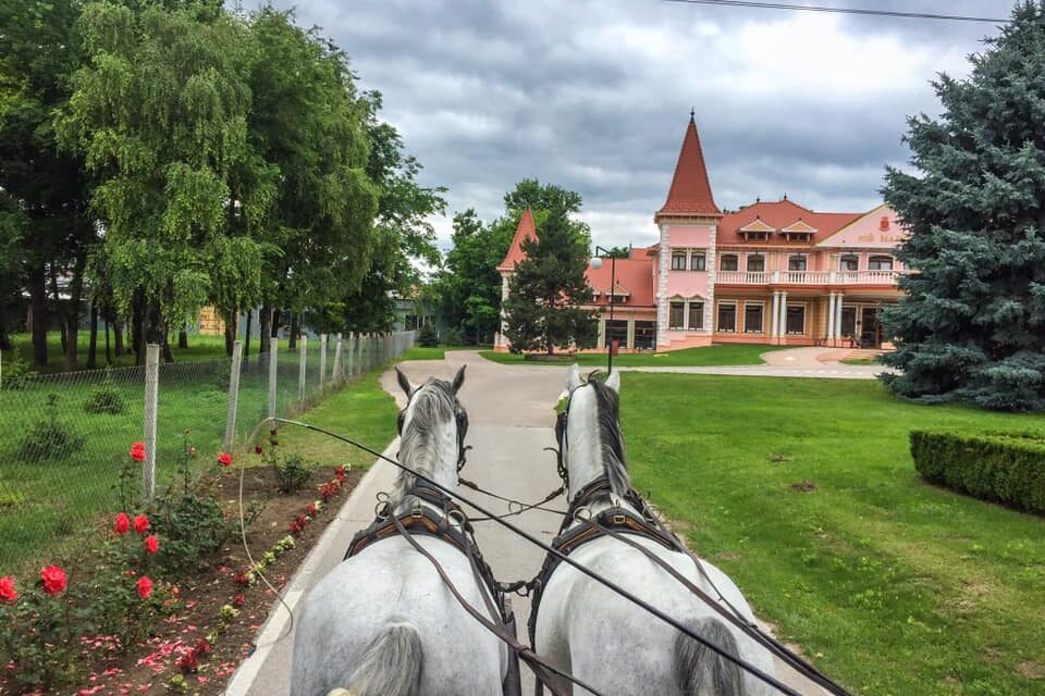A híresztelésekkel ellentétben nem zár be a Kelebiai Ménes