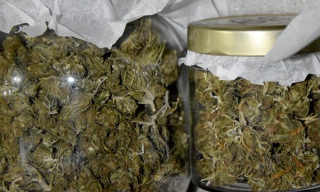 Elkapták a kishegyesi befőttes dílert (Rendőrségi fotók!)