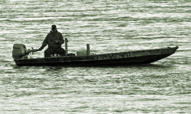 Orvhalászokat fogtak el a Vajdaság Vizei vállalat halőrei