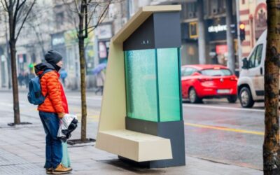 Még egy folyékony fát felállítottak Belgrádban