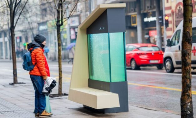 Még egy folyékony fát felállítottak Belgrádban