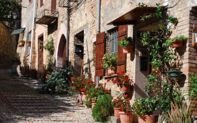 Járdára köpni tilos