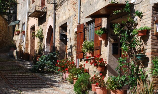 Járdára köpni tilos