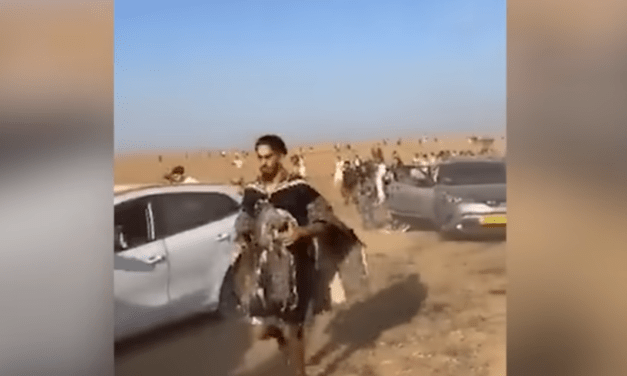 A Hamász által megtámadott fesztivál túlélői beperlik az izraeli államot