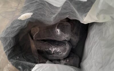 Négy kilogramm marihuánát találtak a bácspetrőci dílernél