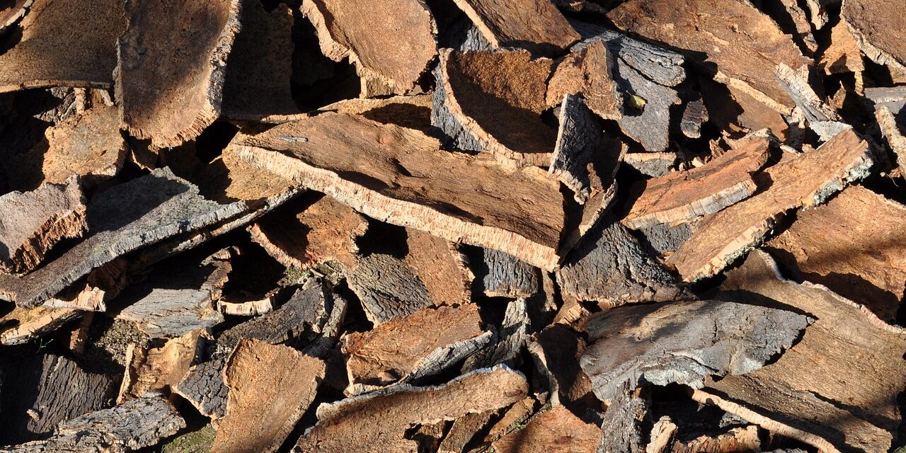 Milyen előnyei vannak a parafa burkolatnak?