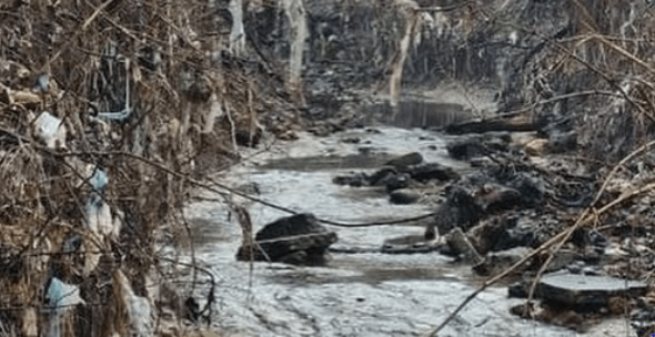 Így néz ki egy hegyi patak Szerbiában