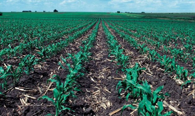 Megalakult a Szerbiai Regeneratív Mezőgazdasági Szövetség