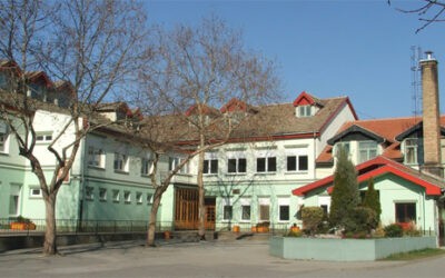 Az osztálytársait és a kémiatanárt is megfenyegette egy szabadkai diák