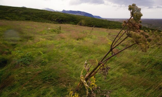 Előbb-utóbb tavasz lesz, de előtte elfúj minket a szél
