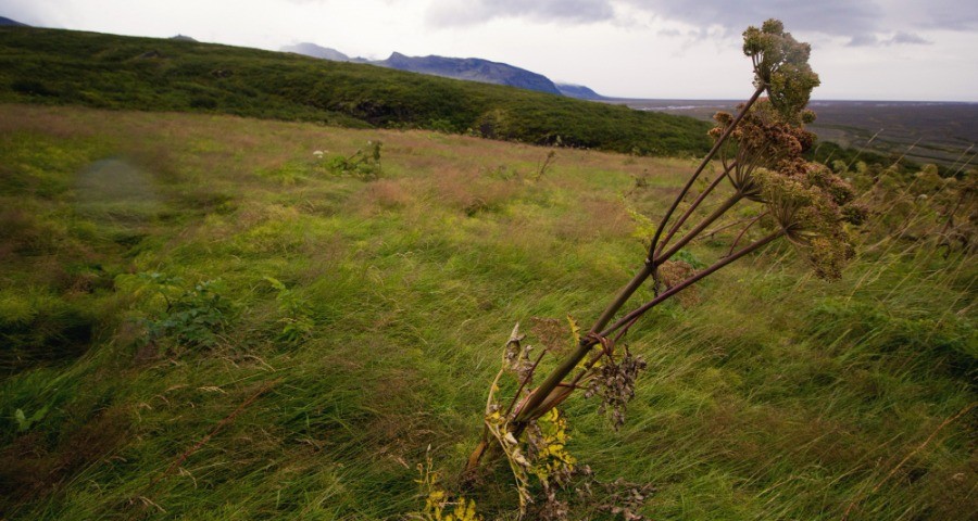 Előbb-utóbb tavasz lesz, de előtte elfúj minket a szél