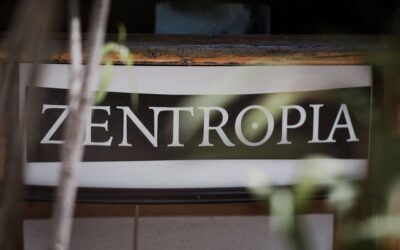 Jótékonysági est a Zentropiában a Lajka Egyesület megsegítésére