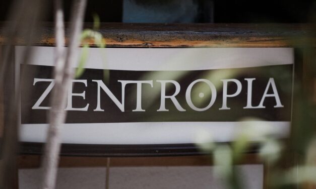 Jótékonysági est a Zentropiában a Lajka Egyesület megsegítésére