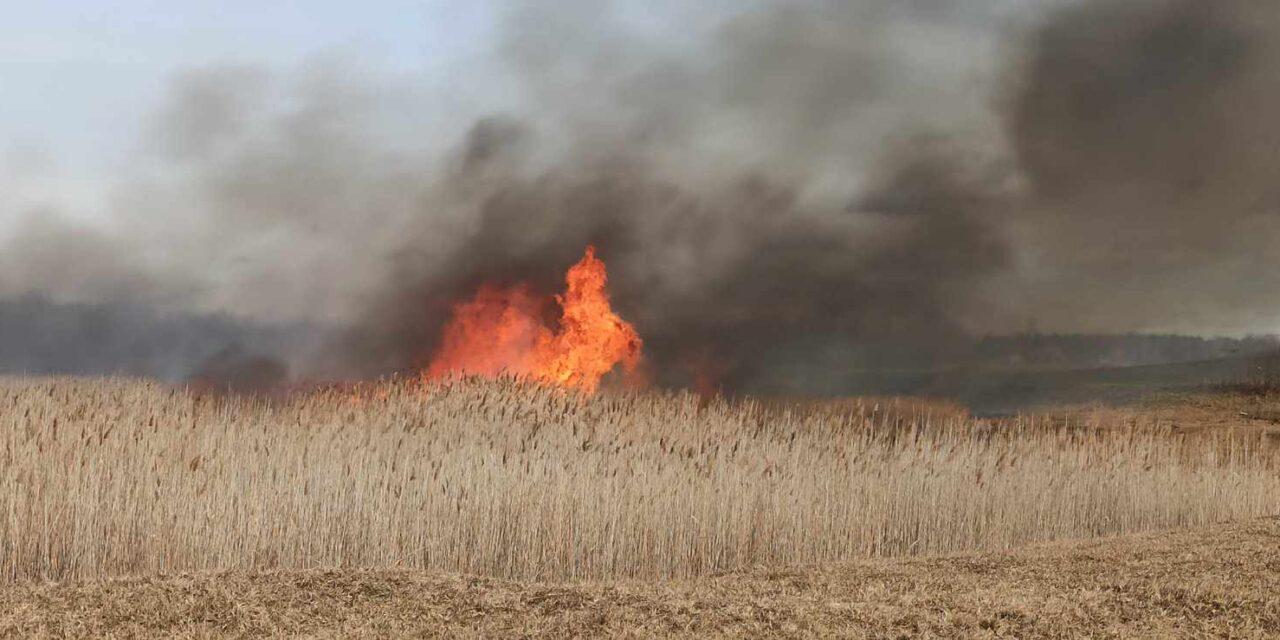 Ismét lángol a kelebiai rét