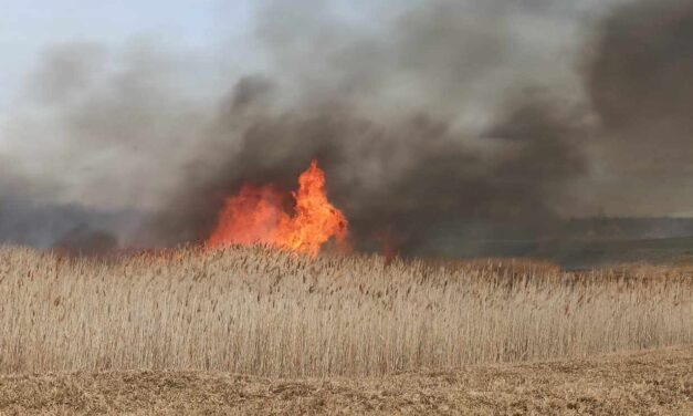 Ismét lángol a kelebiai rét