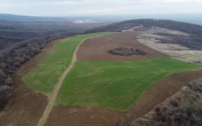 Csaknem 30 hektár kiemelt jelentőségű legelőt szántottak be a Tarcal-hegyen