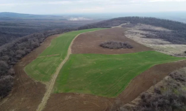 Csaknem 30 hektár kiemelt jelentőségű legelőt szántottak be a Tarcal-hegyen