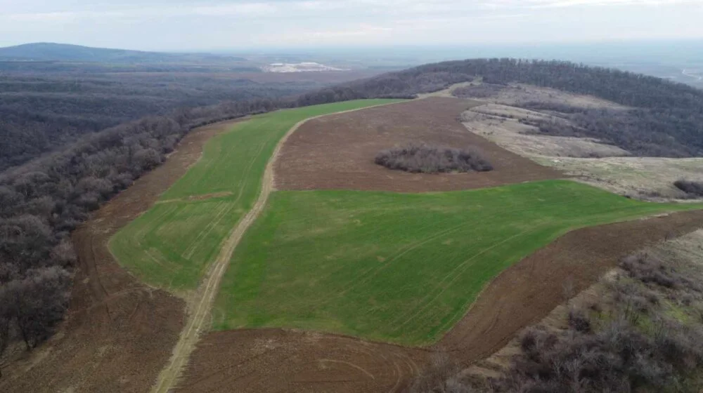 Csaknem 30 hektár kiemelt jelentőségű legelőt szántottak be a Tarcal-hegyen