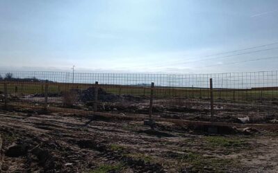 Felszámolták az illegális dögkutat Csantavéren Helyén legális állati eredetű hulladékbegyűjtő állomás épül