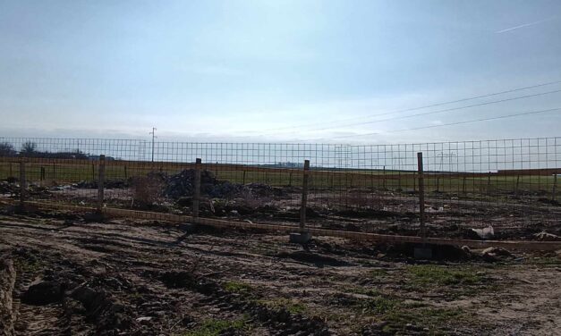 Felszámolták az illegális dögkutat Csantavéren