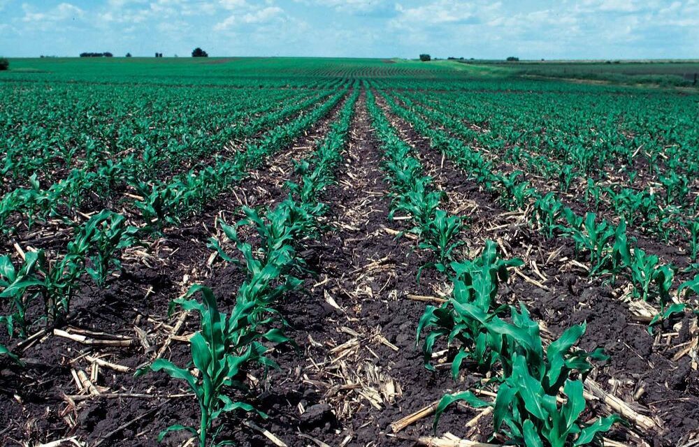 <span class="entry-title-primary">Gazdaságos talajmegújító mezőgazdaság: álom vagy valóság?</span> <span class="entry-subtitle">Milyen veszélyek fenyegetik a termőföldet, és milyen módszerekkel tehetünk a megóvásáért?</span>