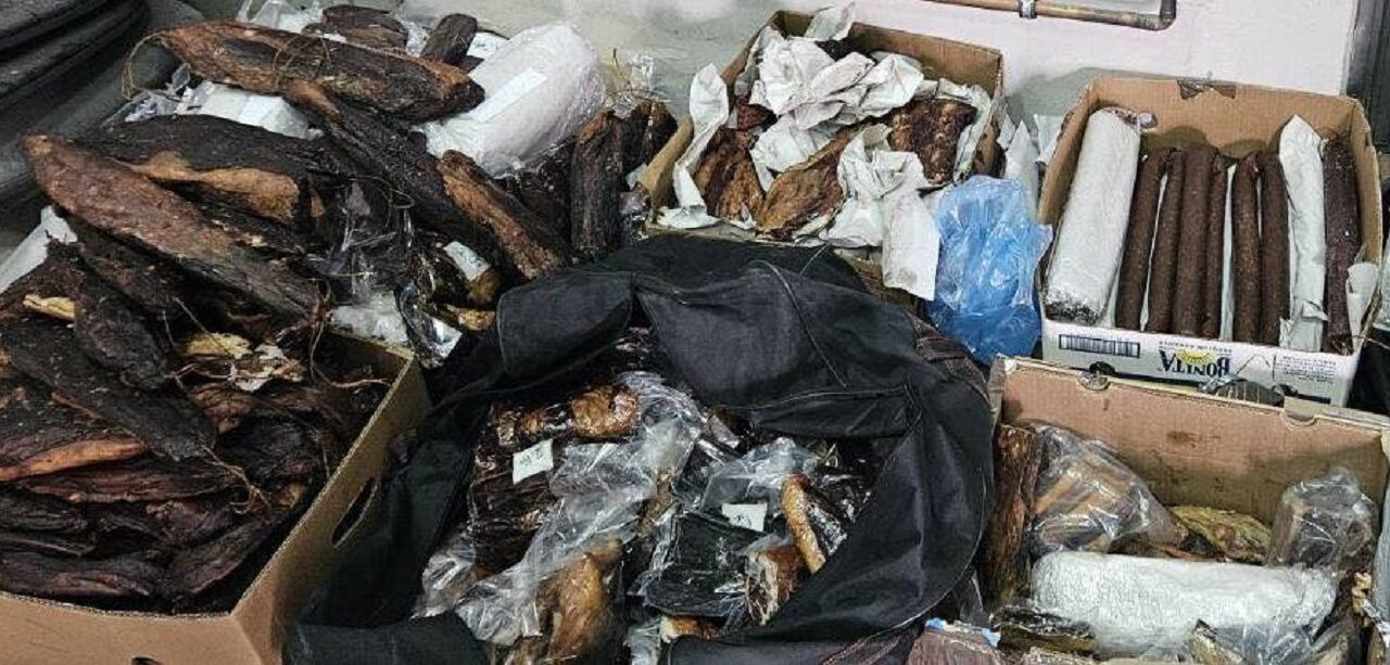 Kétszáz kiló száraz húst akartak kicsempészni az országból Kelebián (Fotók+Videó)