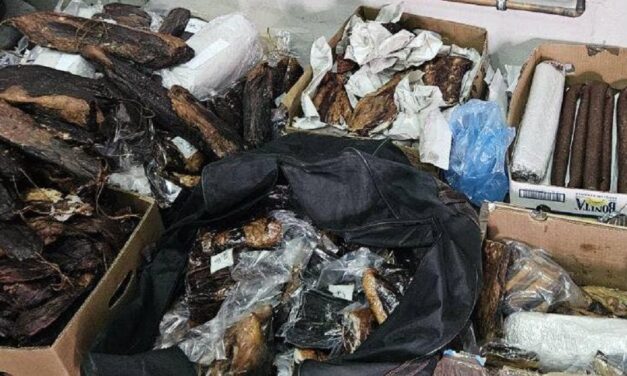 Kétszáz kiló száraz húst akartak kicsempészni az országból Kelebián (Fotók+Videó)