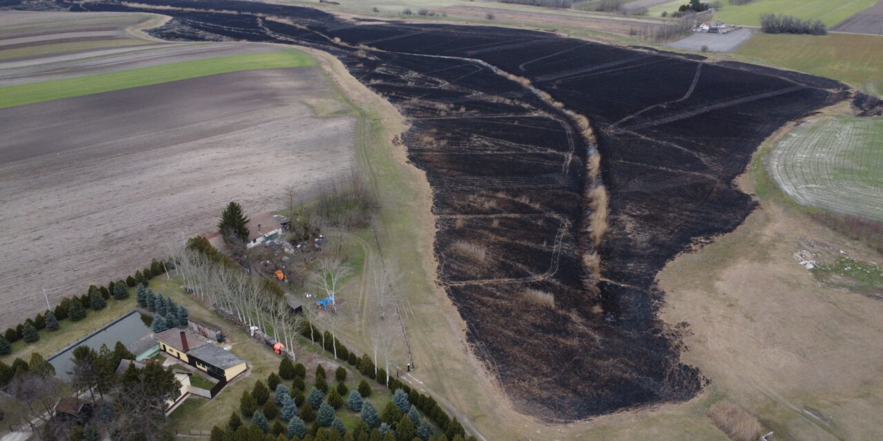 <span class="entry-title-primary">Tudtuk, hogy ez lesz, mégsem tettünk semmit</span> <span class="entry-subtitle">Zsákszámra szedték a csiperkét a partján, kócsagok, gémek éltek benne, csíkhalat lehetett fogni – Ma csaknem halott a Kelebiai-tó, alig maradt vizes élőhelye Szabadkának</span>