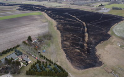 Tudtuk, hogy ez lesz, mégsem tettünk semmit Zsákszámra szedték a csiperkét a partján, kócsagok, gémek éltek benne, csíkhalat lehetett fogni – Ma csaknem halott a Kelebiai-tó, alig maradt vizes élőhelye Szabadkának