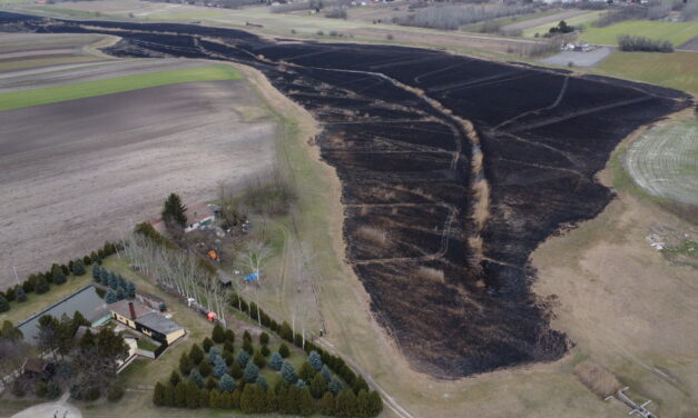 Tudtuk, hogy ez lesz, mégsem tettünk semmit