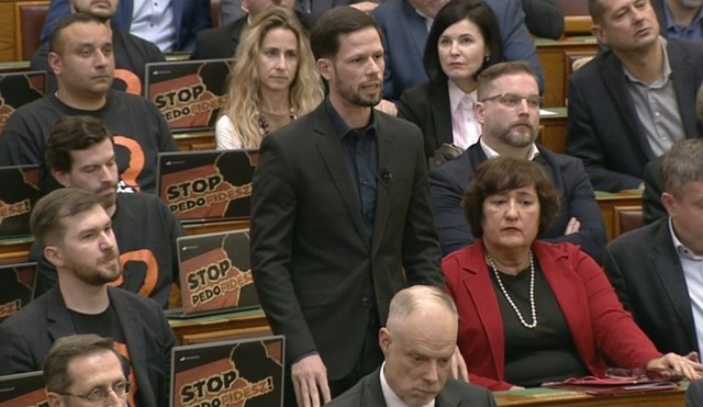 Stop pedofidesz, ki a felelős?