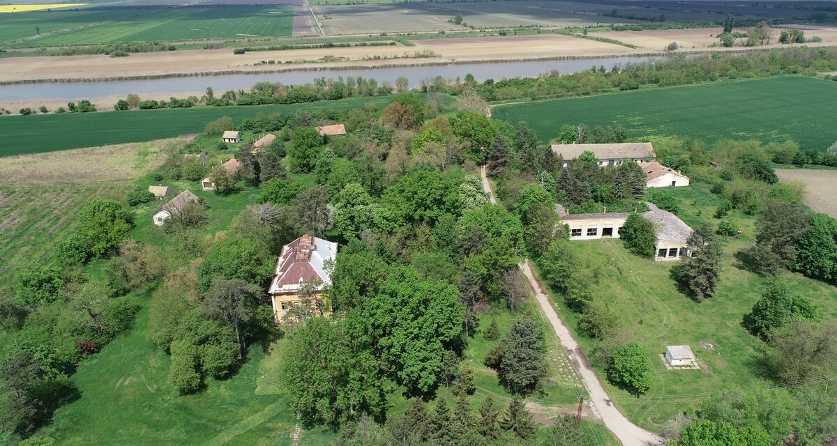 <span class="entry-title-primary">A sziget gyöngye (2.)</span> <span class="entry-subtitle">A krokán muskotály Európában egyedül a vajdasági Gyöngyszigeten terem meg – A különleges fehérbort Rohonczy Gedeon honosította meg </span>