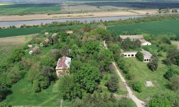 <span class="entry-title-primary">A sziget gyöngye (2.)</span> <span class="entry-subtitle">A krokán muskotály Európában egyedül a vajdasági Gyöngyszigeten terem meg – A különleges fehérbort Rohonczy Gedeon honosította meg </span>