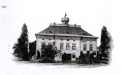 A sziget gyöngye (1.) A krokán muskotály Európában egyedül a vajdasági Gyöngyszigeten terem meg